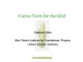 Cactus Tools for the Grid PowerPoint PPT Presentation