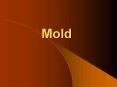 Mold PowerPoint PPT Presentation