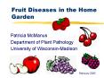 Fruit Diseases in the Home Garden PowerPoint PPT Presentation