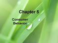 Consumer Behavior PowerPoint PPT Presentation