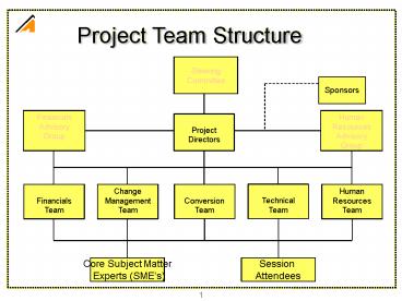 Project Team Structure