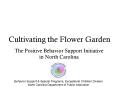 The Positive Behavior Support Initiative in North Carolina PowerPoint PPT Presentation