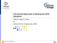 A Practical Approach to Enterprise SOA Adoption