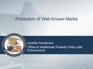 Protection of WellKnown Marks