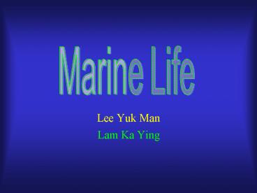 Lee Yuk Man