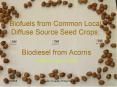 Biofuels from Common Local Diffuse Source Seed Crops: PowerPoint PPT Presentation