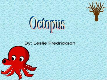 Physical Characteristics