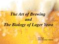 PowerPoint Presentation Art of Brewing PowerPoint PPT Presentation