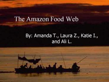 The Amazon Food Web