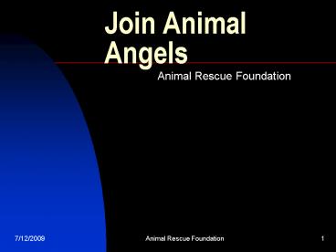 Join Animal Angels
