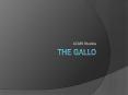 The Gallo PowerPoint PPT Presentation