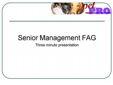 Senior Management FAG