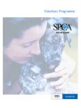 Volunteer Programme SPCA Auckland PowerPoint PPT Presentation