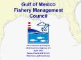 Gulf%20of%20Mexico%20Fishery%20Management%20Council PowerPoint PPT Presentation