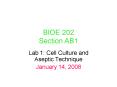 BIOE 202 Section AB1 PowerPoint PPT Presentation
