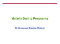 Malaria During Pregnancy PowerPoint PPT Presentation