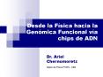Desde la Fsica hacia la Genmica Funcional va chips de ADN PowerPoint PPT Presentation