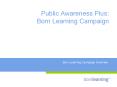 Public Awareness Plus: Born Learning Campaign PowerPoint PPT Presentation