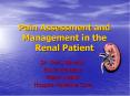 Pain Assessment and Management in the Renal Patient PowerPoint PPT Presentation