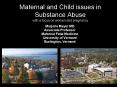 Maternal and Child issues in Substance Abuse with a focus on women and pregnancy PowerPoint PPT Presentation