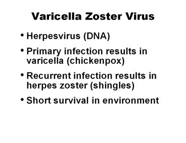 Varicella Zoster Virus