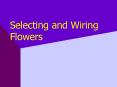 Selecting and Wiring Flowers PowerPoint PPT Presentation