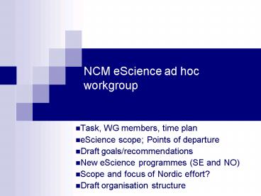 NCM eScience ad hoc workgroup