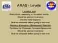 AMAS Levels PowerPoint PPT Presentation