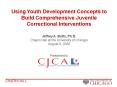 Using Youth Development Concepts to Build Comprehensive Juvenile Correctional Interventions PowerPoint PPT Presentation