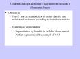 Understanding Customers:Segmentationcontd Shantanu Dutta PowerPoint PPT Presentation