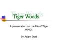 A presentation on the life of Tiger Woods. PowerPoint PPT Presentation