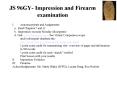 JS 96GY Impression and Firearm examination PowerPoint PPT Presentation