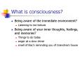 What is consciousness? PowerPoint PPT Presentation
