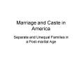 Marriage and Caste in America PowerPoint PPT Presentation
