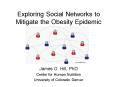 Exploring Social Networks to Mitigate the Obesity Epidemic PowerPoint PPT Presentation