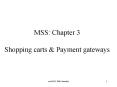 MSS: Chapter 3 Shopping carts PowerPoint PPT Presentation