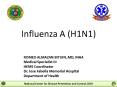 Influenza A H1N1 PowerPoint PPT Presentation