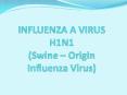 INFLUENZA A VIRUS H1N1 Swine Origin Influenza Virus PowerPoint PPT Presentation