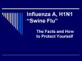 Influenza A, H1N1 Swine Flu PowerPoint PPT Presentation