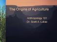 The Origins of Agriculture PowerPoint PPT Presentation