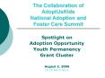 The Collaboration of AdoptUsKids National Adoption and Foster Care Summit PowerPoint PPT Presentation