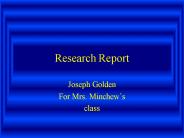 Research Report