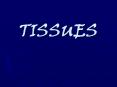 TISSUES PowerPoint PPT Presentation