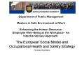 Department of Public Management Masters in Safe Environment at Work Enhancing the Human Resource: Em PowerPoint PPT Presentation