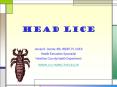 Head Lice PowerPoint PPT Presentation