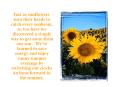 Just as sunflowers turn their heads to catch every sunbeam, so too have we discovered a simple way to get more from our sun. We've learned to save energy and enjoy sunny summer evenings by switching our clocks an hour forward in the summer. PowerPoint PPT Presentation