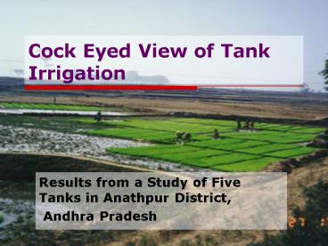 Cock Eyed View of Tank Irrigation