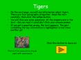 Tigers PowerPoint PPT Presentation