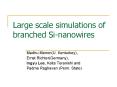 Large scale simulations of branched Sinanowires PowerPoint PPT Presentation