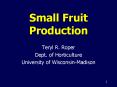 Small Fruit Production PowerPoint PPT Presentation